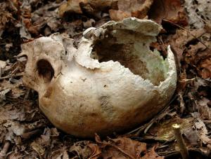 300-letni pierścień może zabić archeologa
