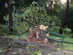 Nawałnica przeszła nad Małopolską