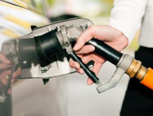 Uwaga! Auto na gaz, czyli jak nie zostać jeleniem