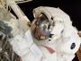 Astronauta Michael Fincke