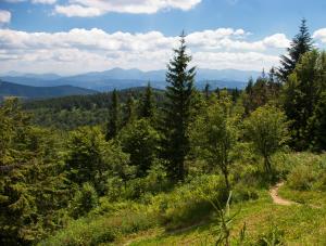 Beskid Śląski