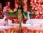 Egzotyczne piękności w akcji! Oto finał Miss Supranational 2011
