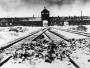 Obóz koncentracyjny Auschwitz Birkenau