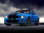 Mustang shelby GT500 model 2013