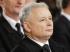 Nowy pupil szefa PiS. Prosto z warszawskiego schroniska