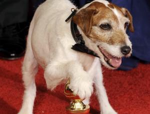 Pies Uggie i Złoty Glob dla filmu "Artysta"