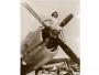 Republic P-47 Thunderbolt