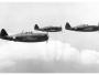 Republic P-47 Thunderbolt