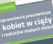 e-book: Uprawnienia pracownicze kobiet w ciąży i rodziców małych dzieci