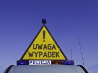 Wypadek busa koło Bielska-Białej. 11 osób rannych