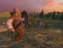 Mount & Blade, PC
