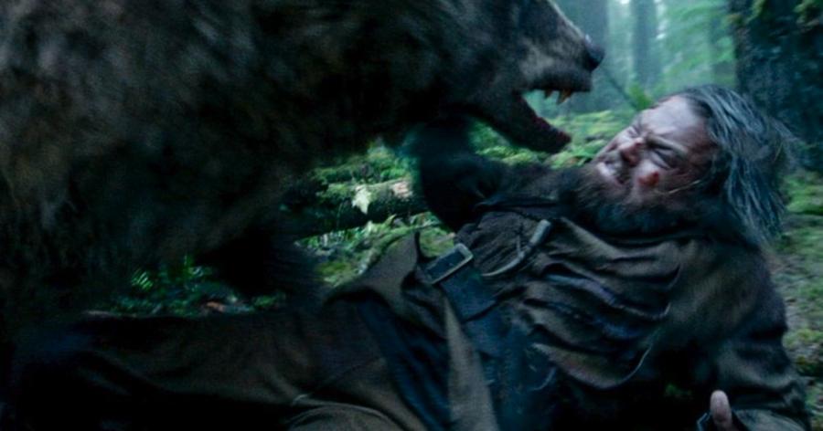 Leonardo DiCaprio kontra "miś" w "Zjawie"
