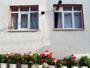 Zrzucimy się na mieszkania dla biednych