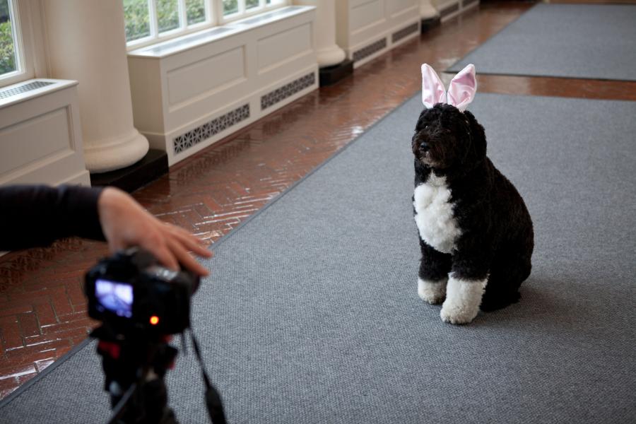 PREZYDENT BARACK OBAMA. NAJLEPSZE ZDJĘCIA DWÓCH KADENCJI